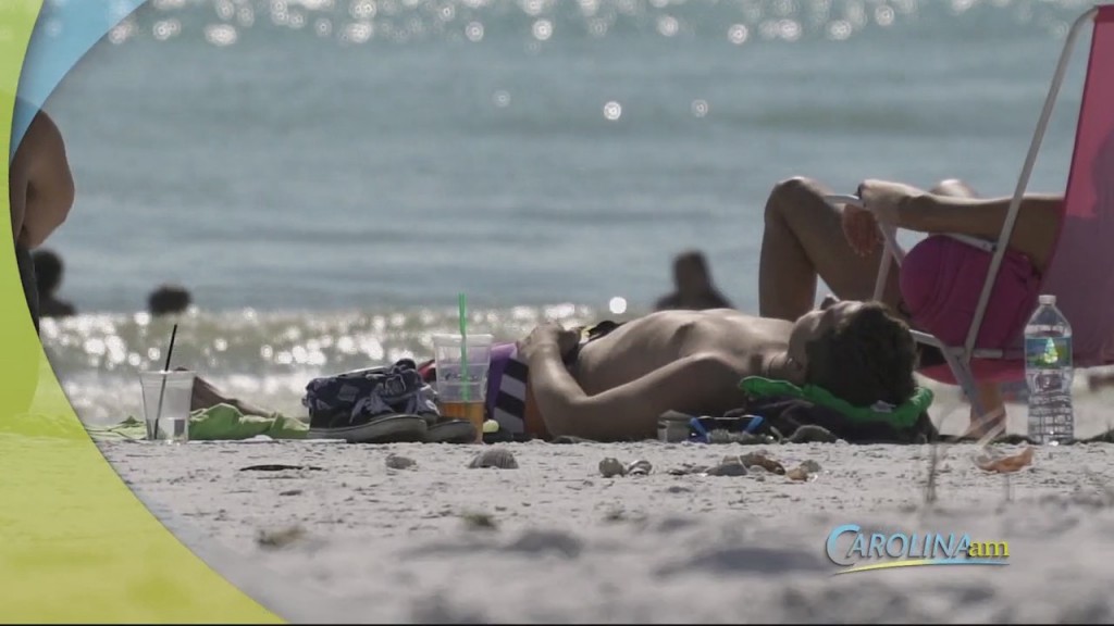 Beach Rules
