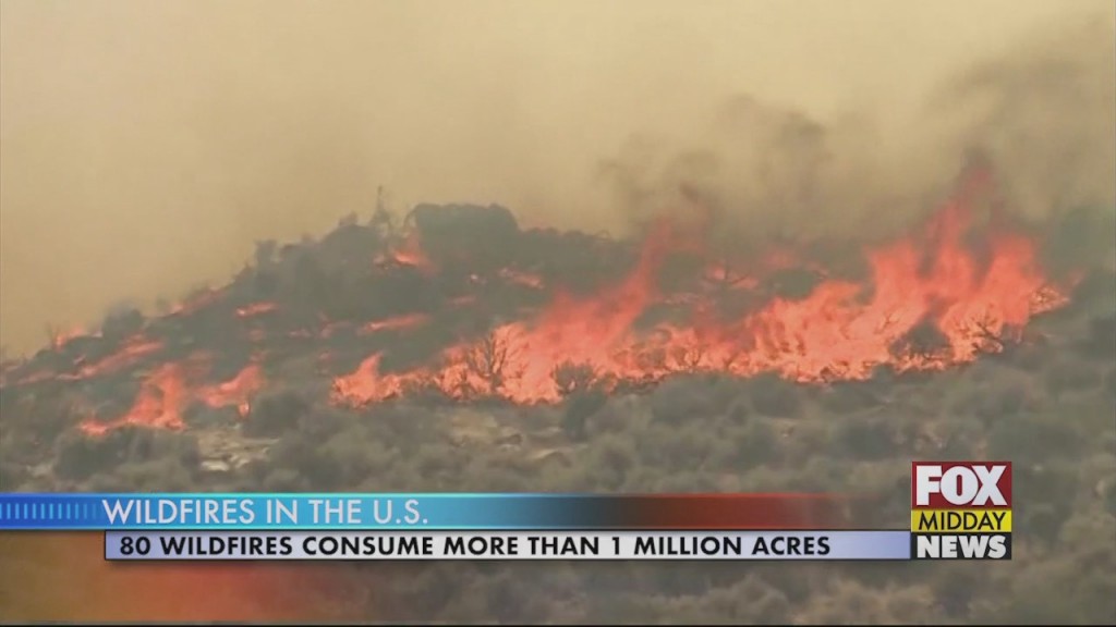 Wildfires