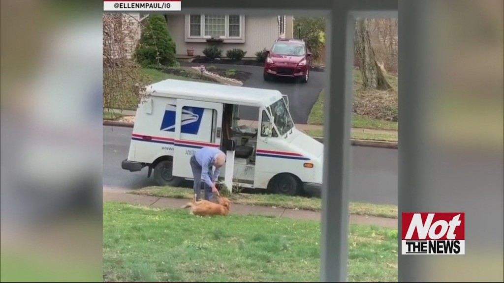 Mailman Love