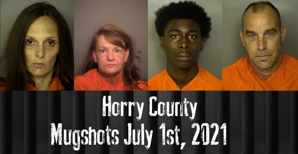 Myrtle Beach Sc Bookings And Releases / 25 New Myrtle Beach Arrests