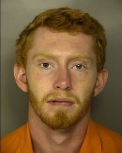 Gormley Cian David Burglary