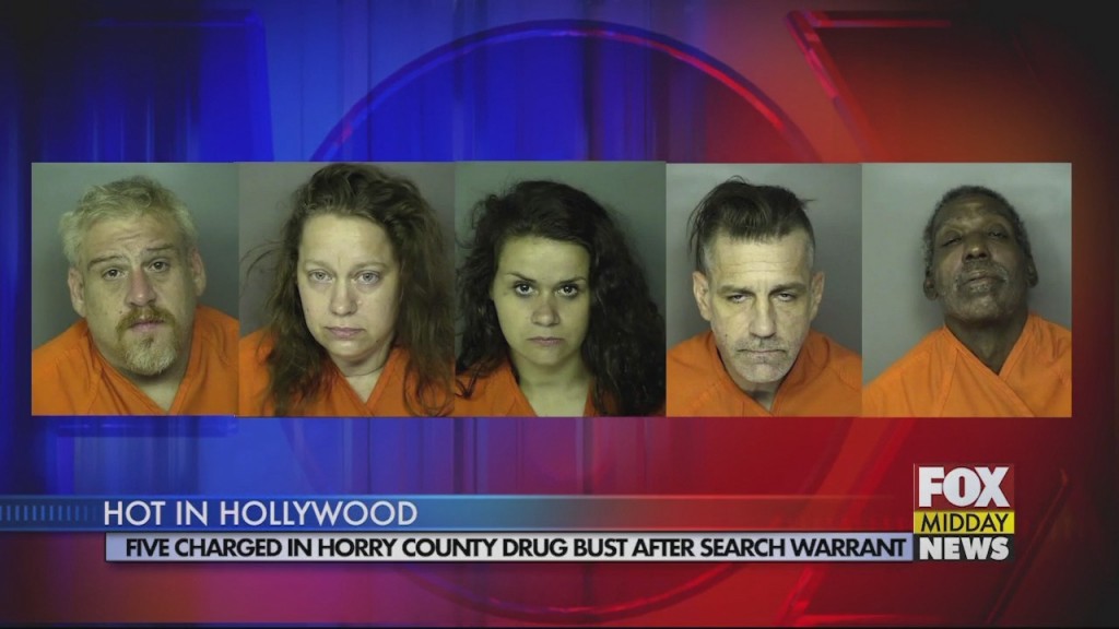 Drug Bust