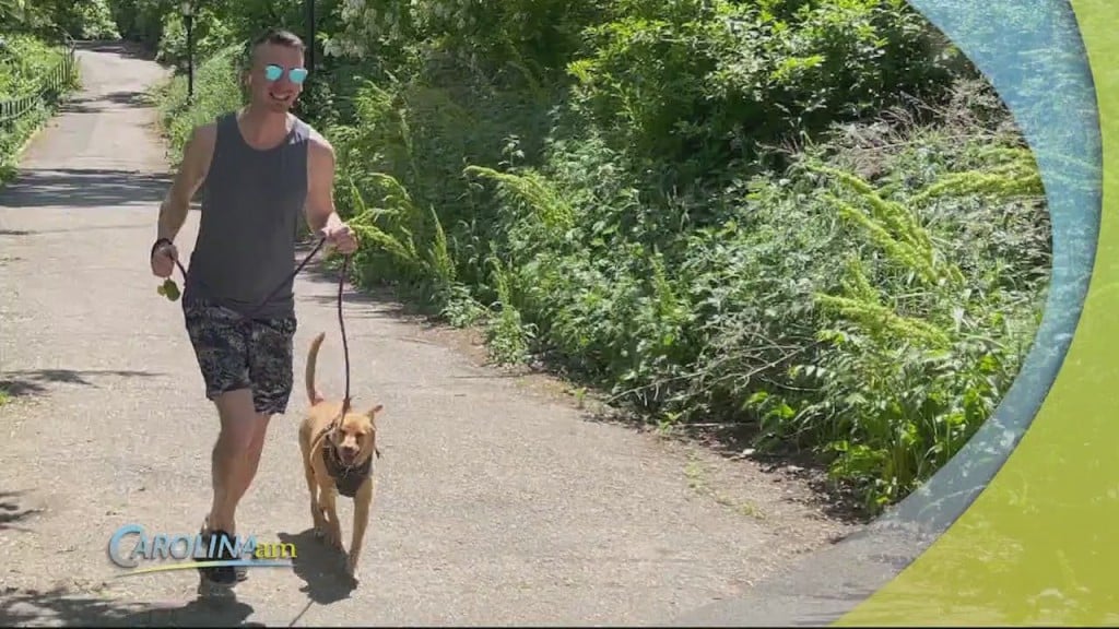 Walking Dog App