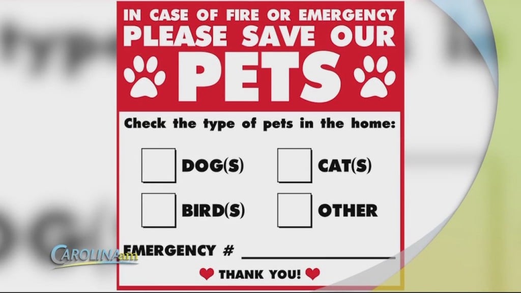 Cam 0715 Pet Safety Tips