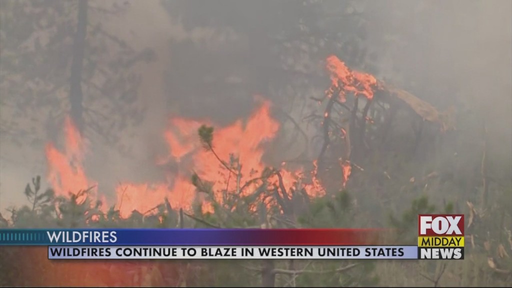 Wildfire