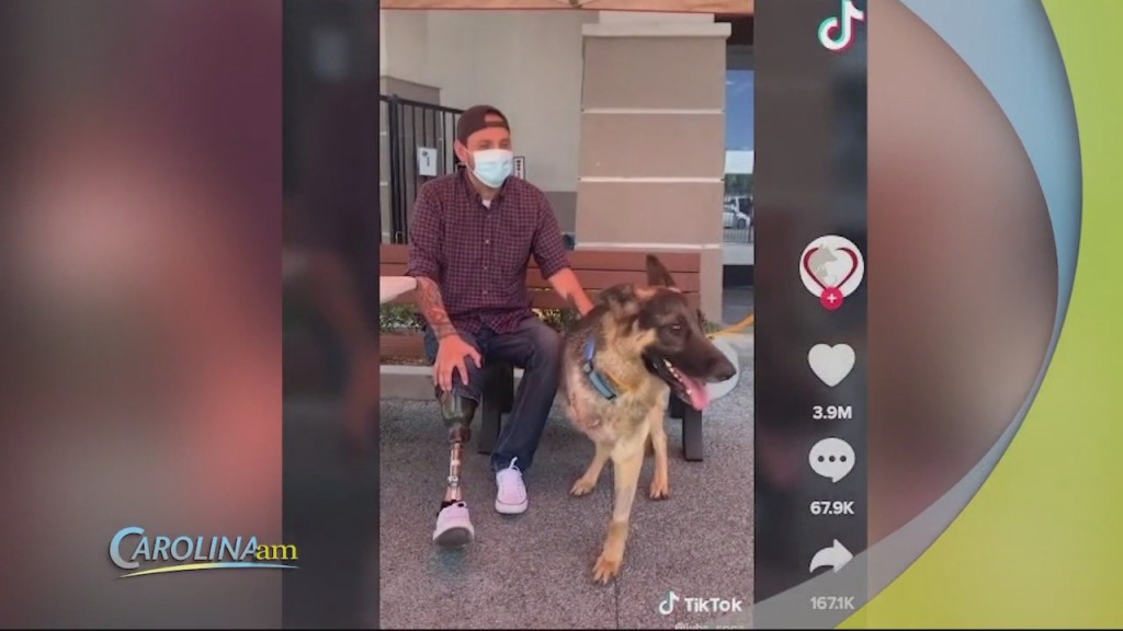 Cam 0825 Dog Vet Match