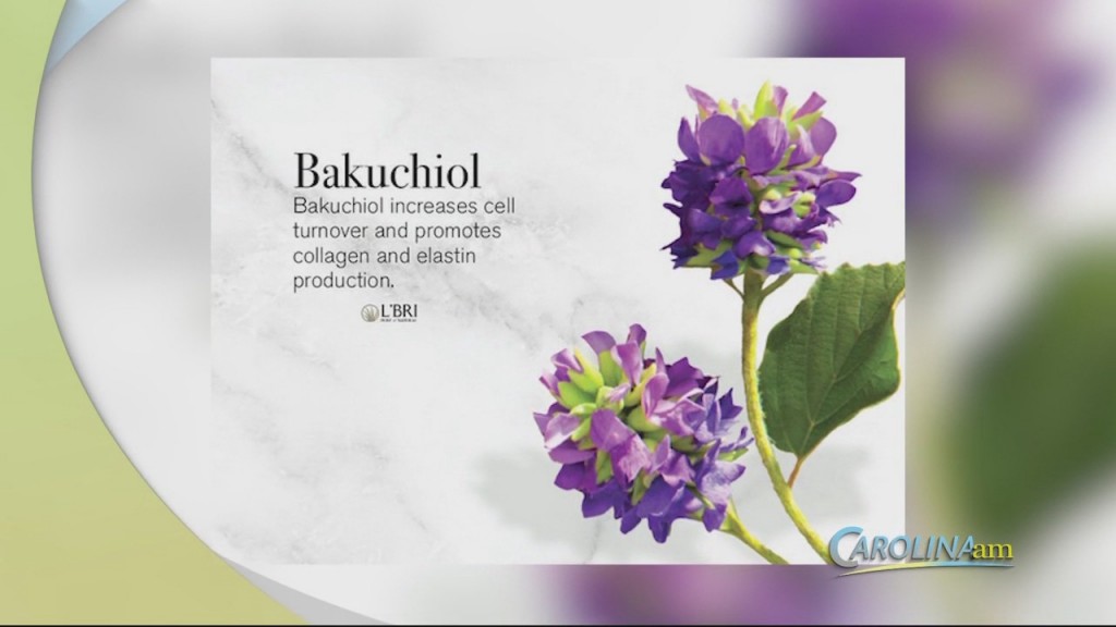 Cam 0804 Bakuchiol