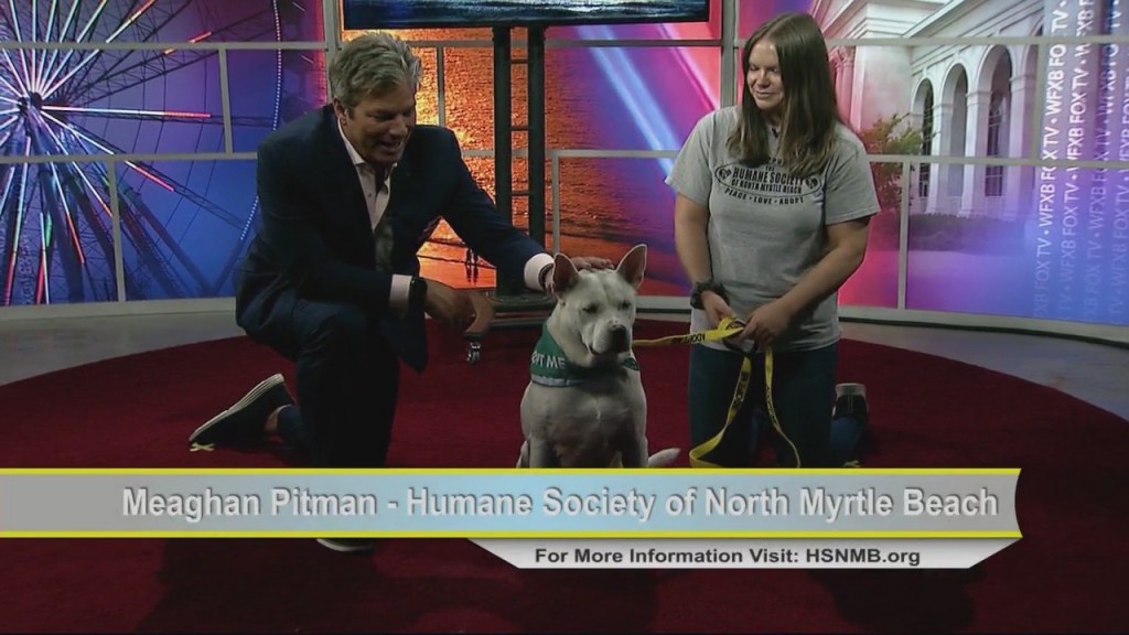 Cam 0826 Nmbhumane