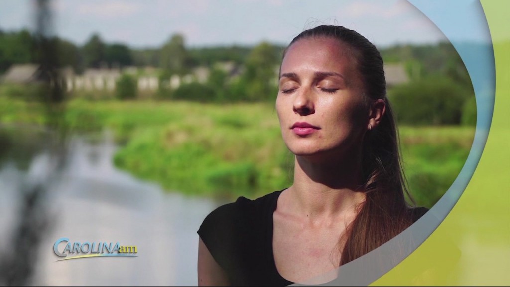 Meditate