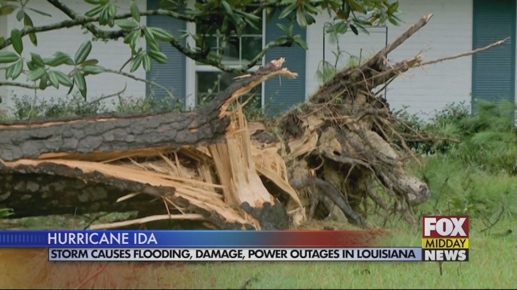 Ida