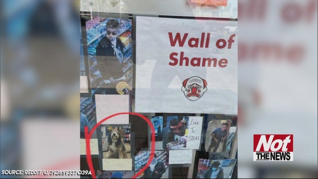Wall Of Shame