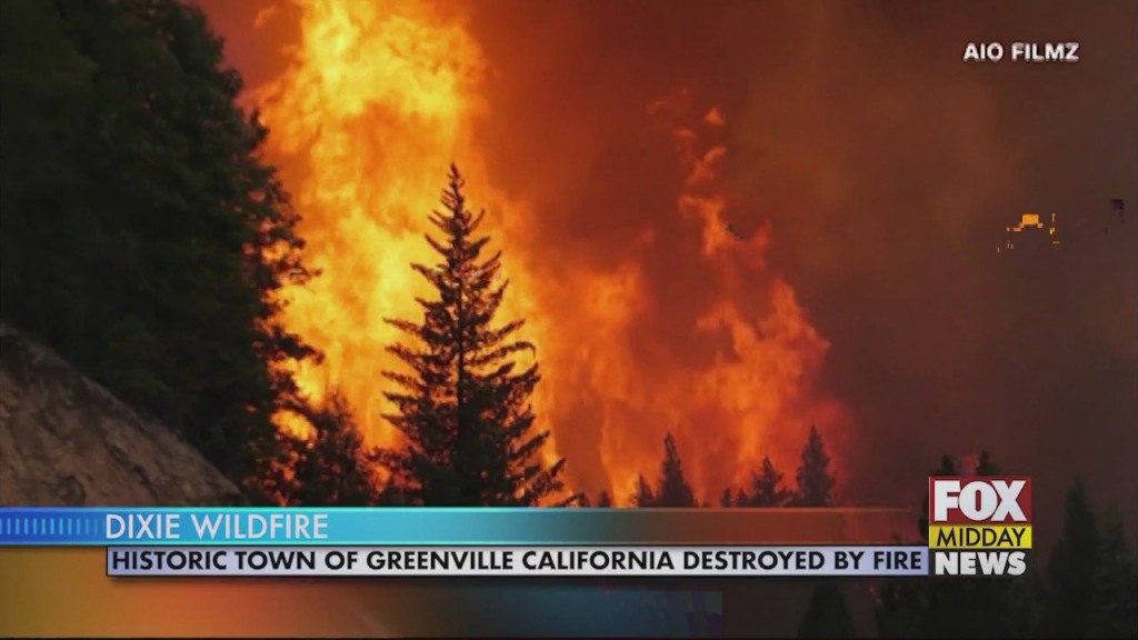 Dixie Wildfire