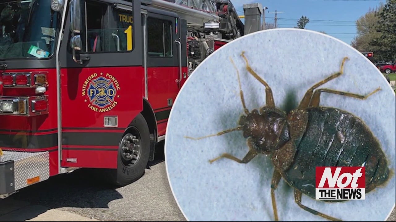 Woman Lights Car on Fire While Getting Rid of Bed Bugs WFXB