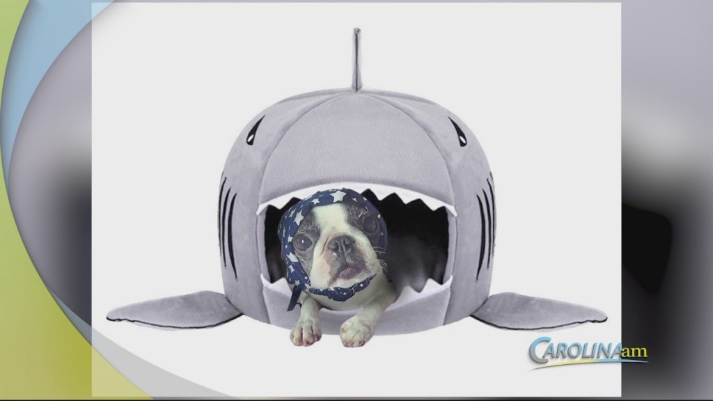 Amazon Finds