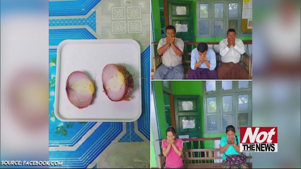 Onions