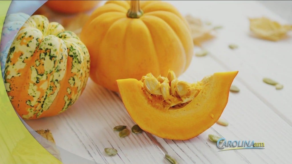 Pumpkin Googling
