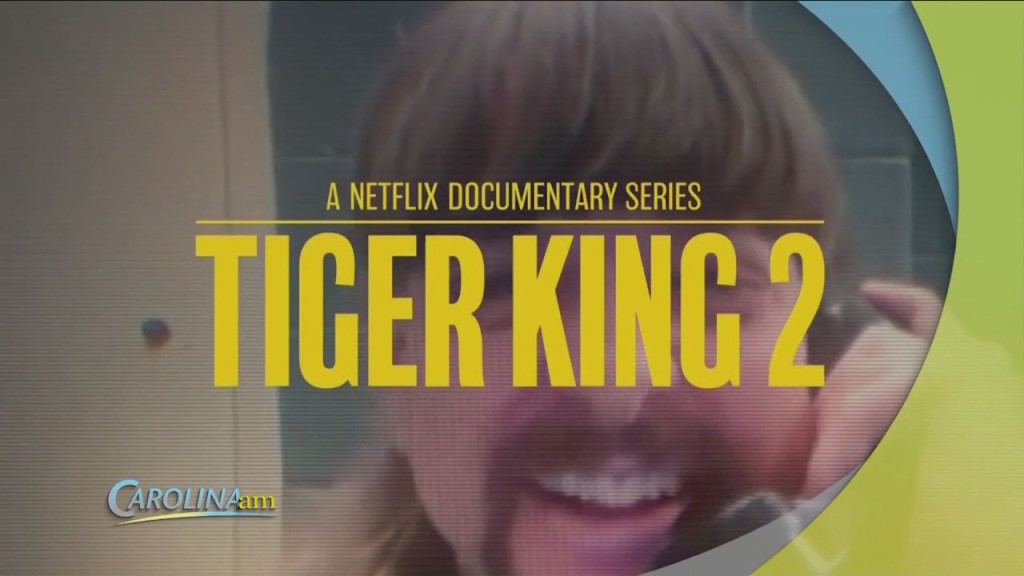 Cam 0924 Tigerking