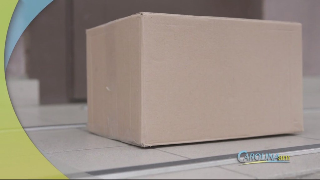 Porch Pirates