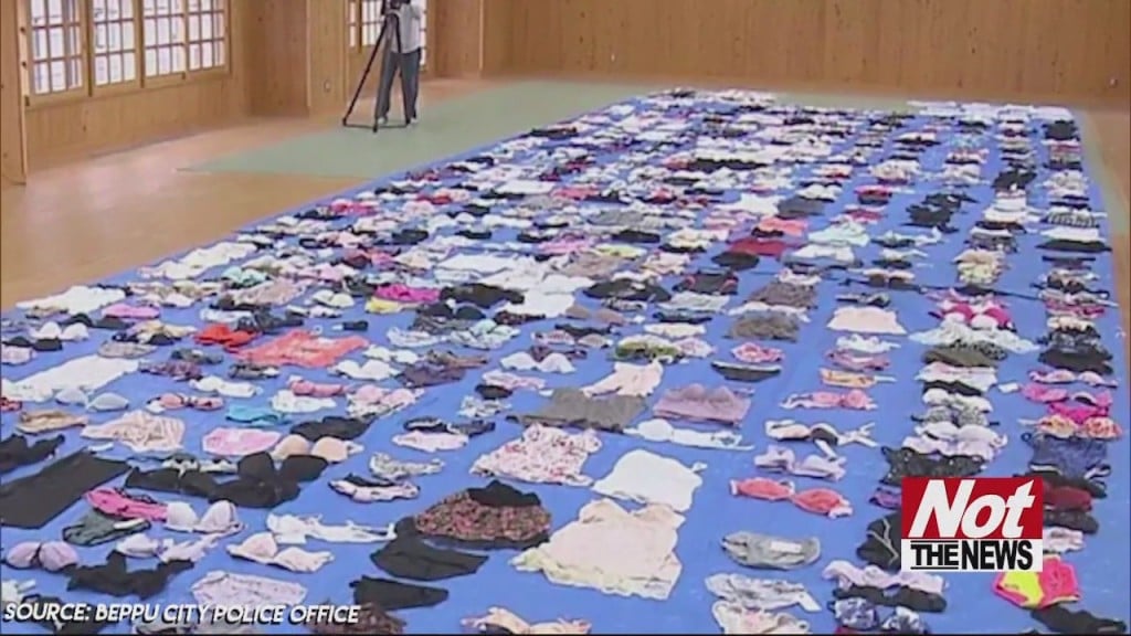 Panty Thief
