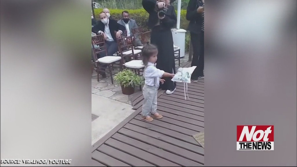 Ring Bearer
