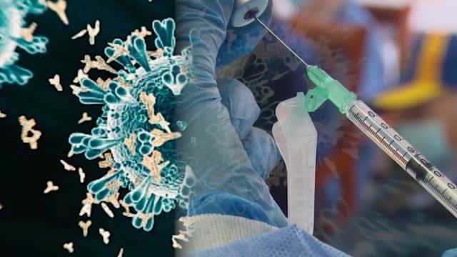 Fda: Child Covid Deaths "an Embarrassment"