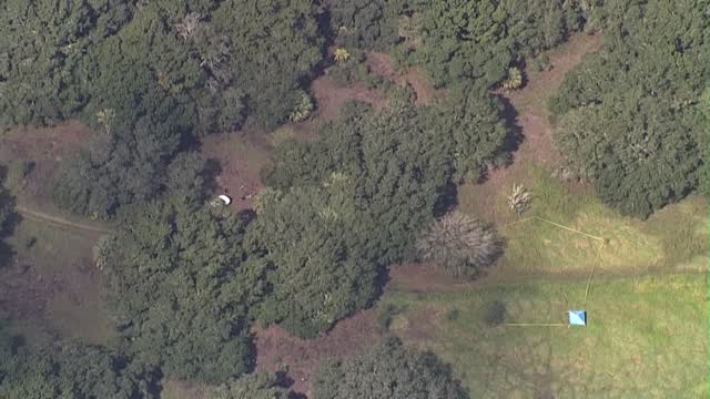 Fl:gabby Petito Case Laundrie Remains Found