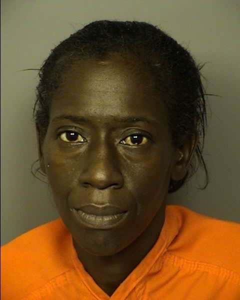 Jimmy Buffett Concert Schedule 2022