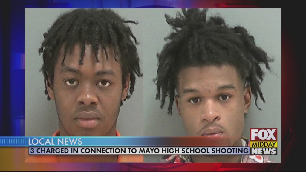 Mayo