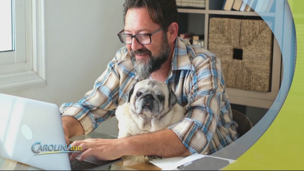 Guys With Dogs