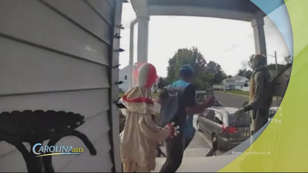 Cam 1019 Delivery