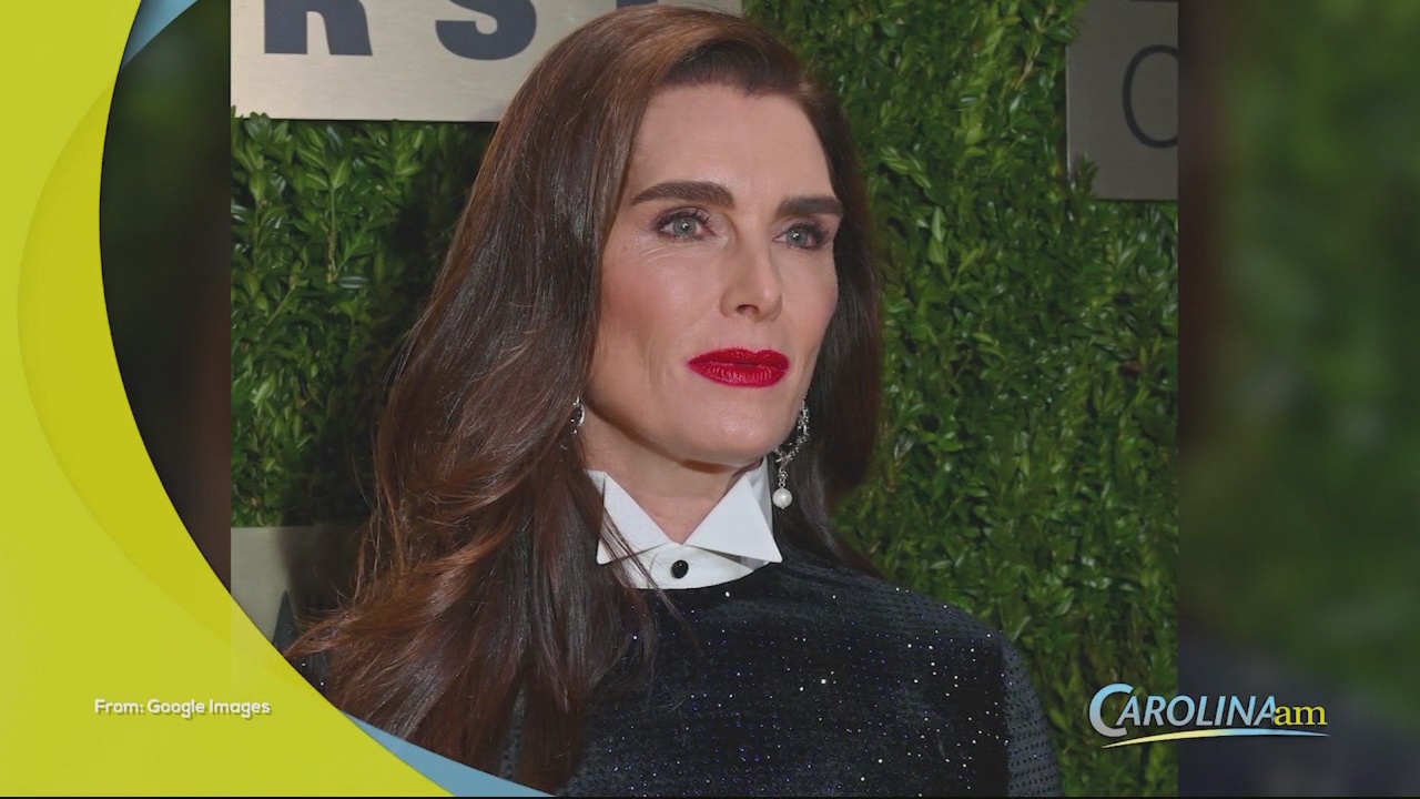 Brook Shields Packs a Smoked Brisket in Her Carry On for Thanksgiving