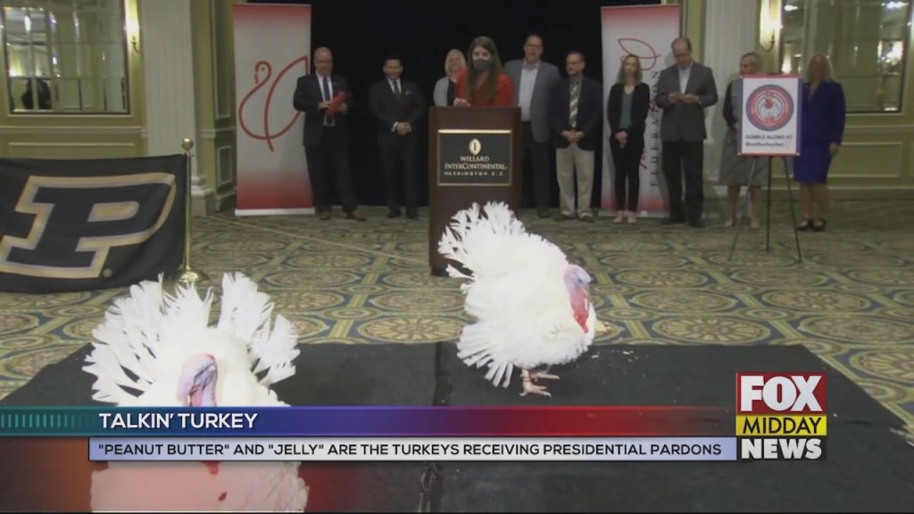 Turkeys