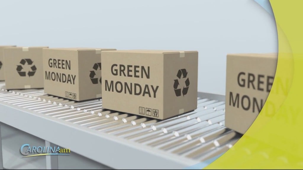 Cam 1130 Green Monday