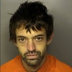 Horne Daniel Thomas Malicious Inj Ury To Personal Property Possestion Of Conceal Or Dispose Of Stolen Vehicle Grand Larceny