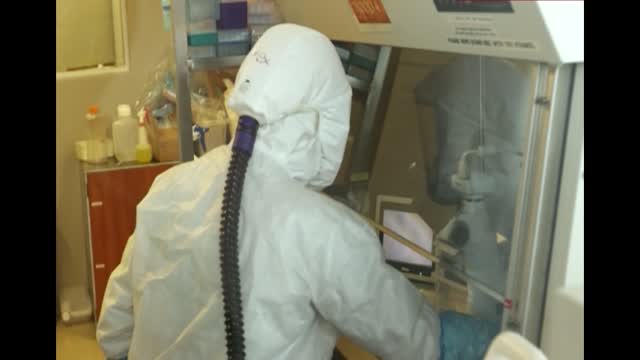 Vaccines Vs Omicron: What Should You Know?