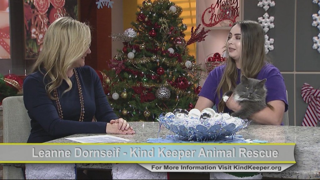Kind Keeper Snimal Rescue 121321