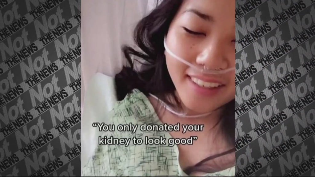 Kidney