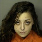 Lewis Jessica Marie Possestion Of Heroin 1st Offense Manufature Possestion Of Other Sub 1st Offense