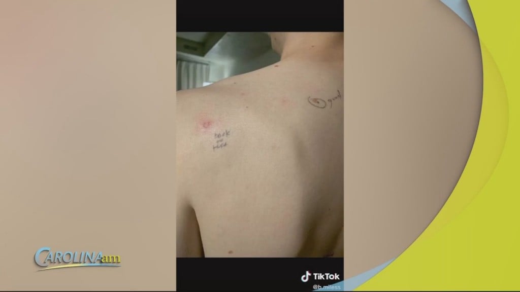 Cam 0204 Drvisit
