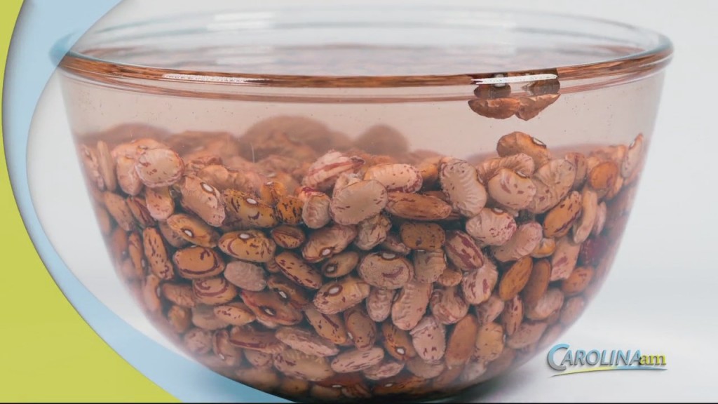 Cam 0201 Beans