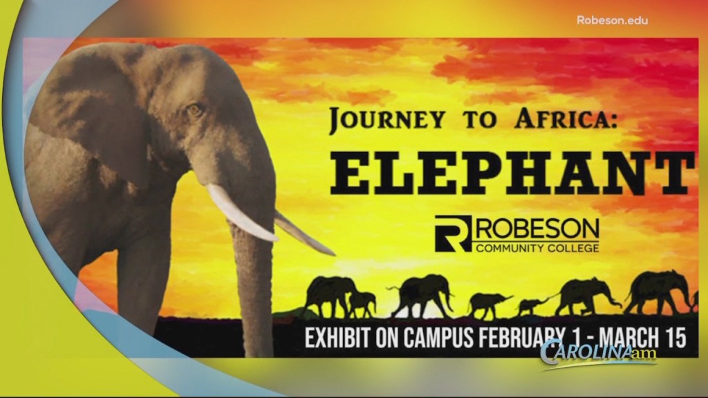 Cam 0202 Elephant