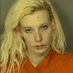 Farless Brandy Marie No Charges Listed