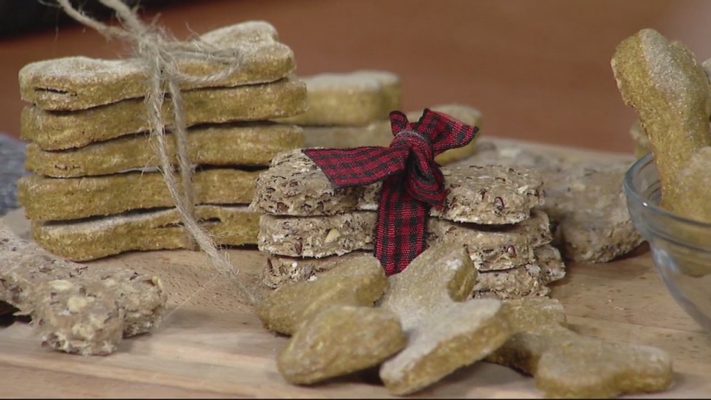 Dog Treats