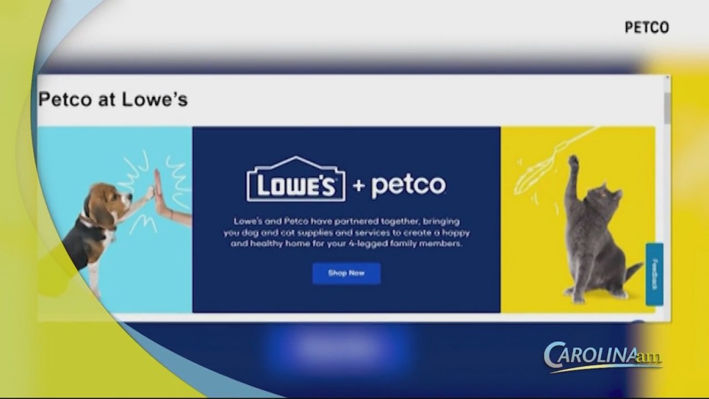 Petco Lowes