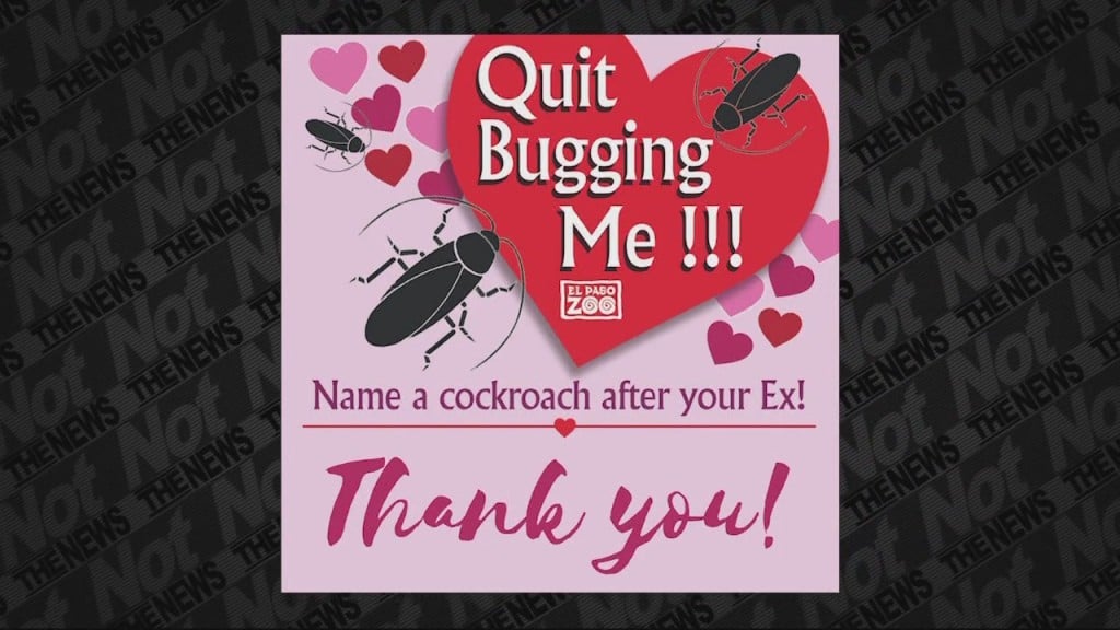 V Day