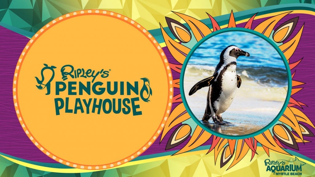 Ripleys Aquarium Myrtle Beach Penguin Playhouse