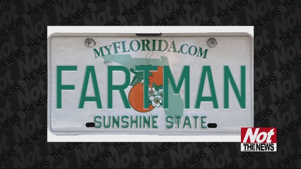License Plates
