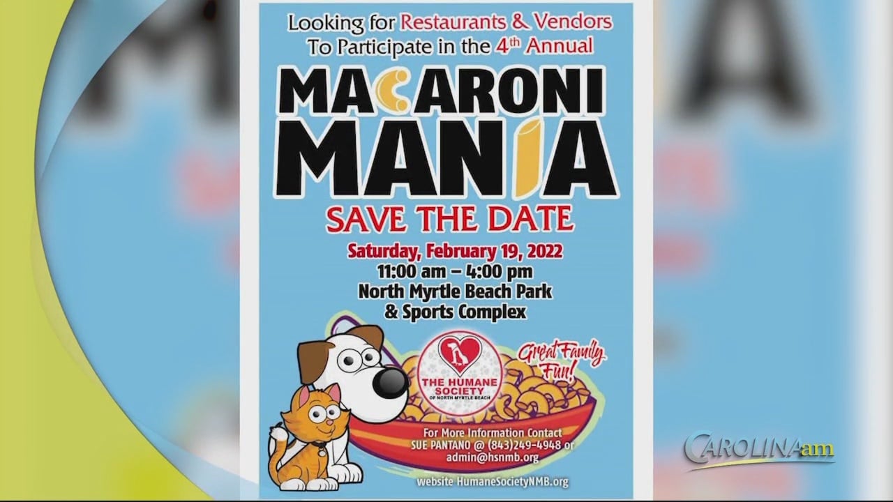 macaroni mania