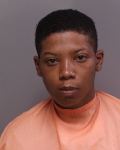 India Tierra Timmons Weapons Pointing And Presenting Firearms At A Person Weapons Pointing And Presenting Firearms At A Person Larceny Breaking Into Motor