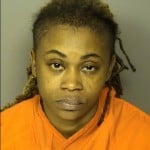 Long Andrea Monique Domestic Violence 3rd Degree